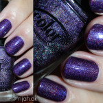 Color Club – Wild at heart