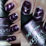 Sally Hansen Magnetic – 902 Polar Purple