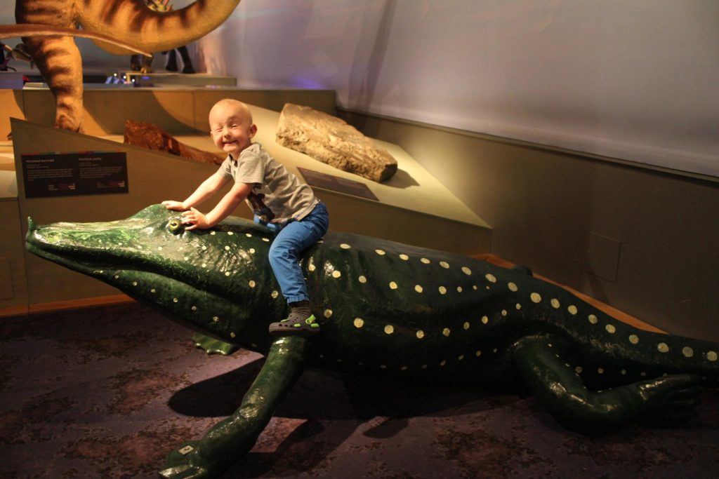 magnusdino Ferie i Stockholm
